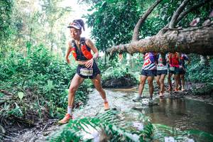 BIB: 
                            <button type="button" onclick="openModal(25445002)" class="btn btn-primary btn-sm float-right btn-popup" data-toggle="modal" data-target=".modal-high-quality">
                        <i class="fas fa-shopping-cart"></i> Add to Cart
                    </button>
                                            <button type="button" onclick="isThisMe(25445002, true)" class="btn btn-success btn-sm float-right btn-popup btn-isme hidden" data-toggle="tooltip" data-placement="bottom" title="นี่คือรูปของคุณใช่ไหม คลิกที่นี่เพื่อเอาเข้าอัลบั้ม">
                        <i class="fas fa-plus"></i> Add to album
                    </button>
                    <button type="button" onclick="isThisMe(25445002, false)" class="btn btn-warning btn-sm float-right btn-popup btn-isnotme hidden">
                        <i class="fas fa-ban"></i> Remove from album
                    </button>